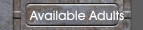 Available Adults