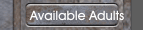 Available Adults